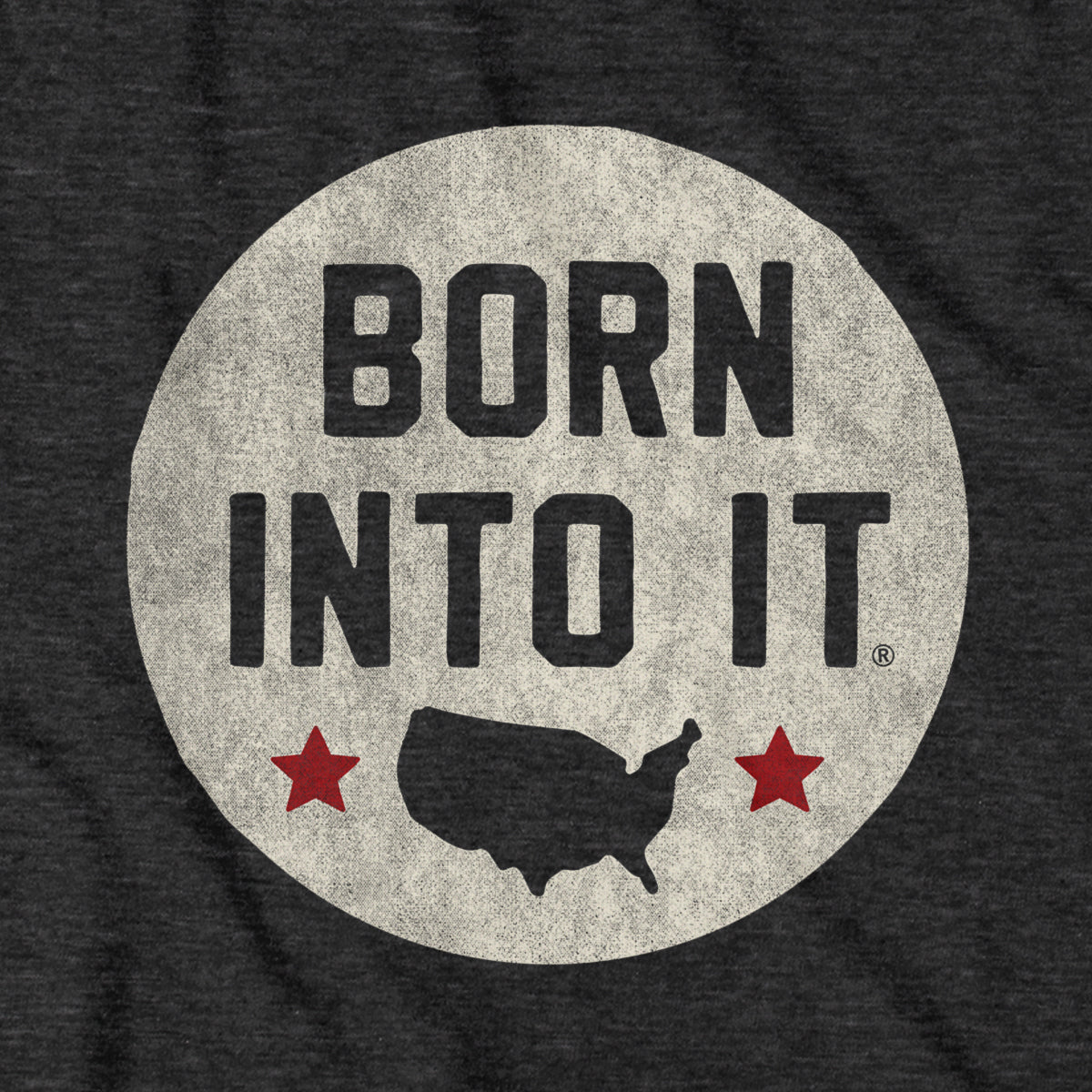 USA Born Into It Stamp Hoodie