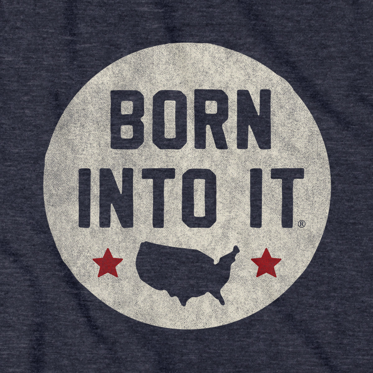 USA Born Into It Stamp Hoodie