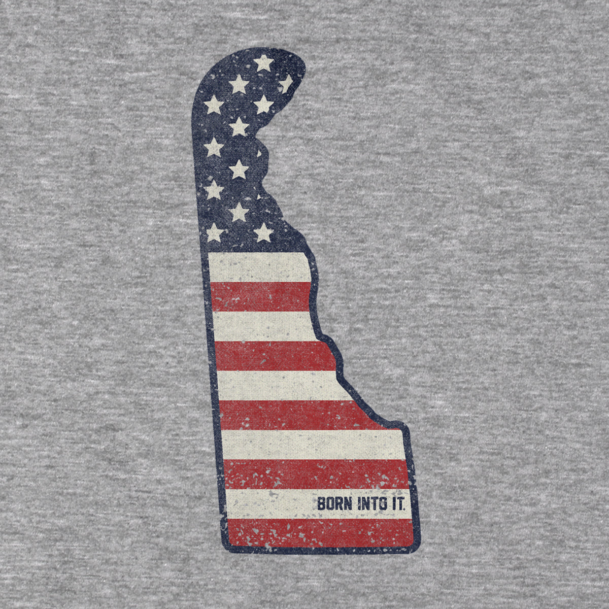 Delaware Stars & Stripes Hoodie