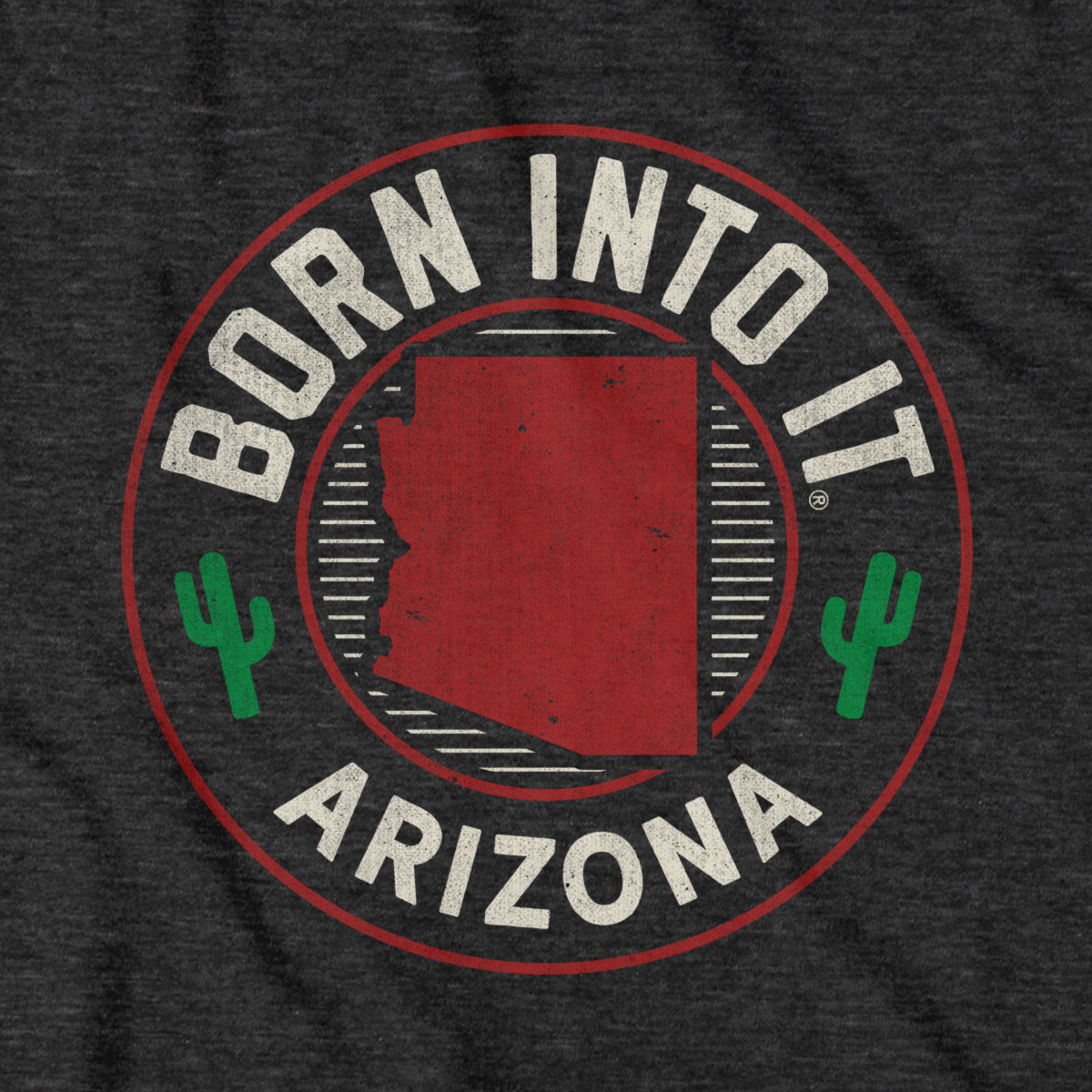 Born Into It Arizona Game Day T-Shirt
