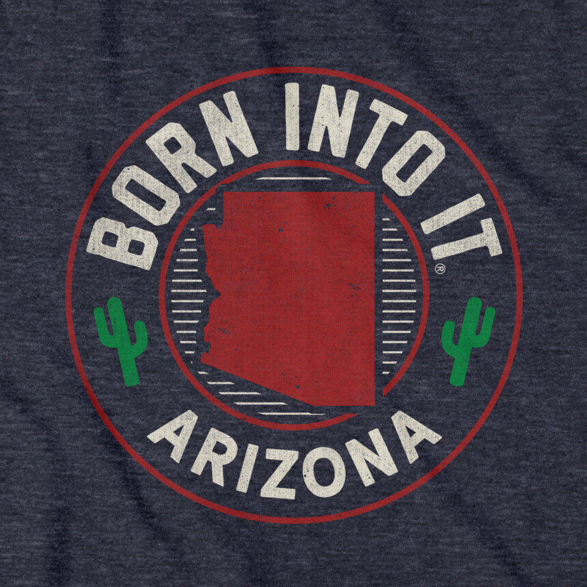 Born Into It Arizona Game Day T-Shirt