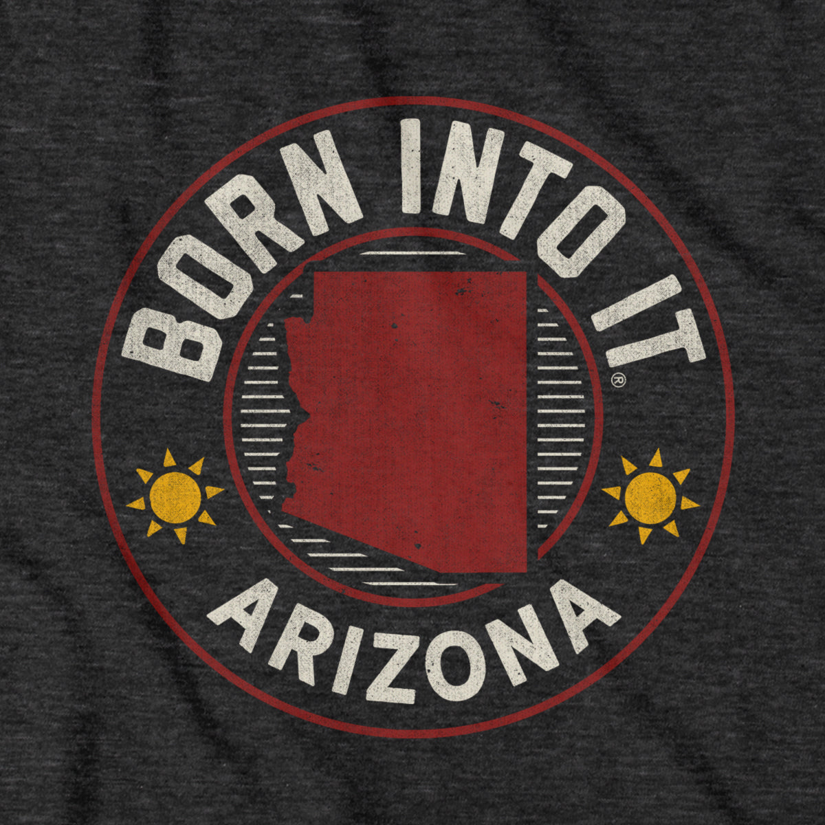 Born Into It Arizona Sun Game Day T-Shirt