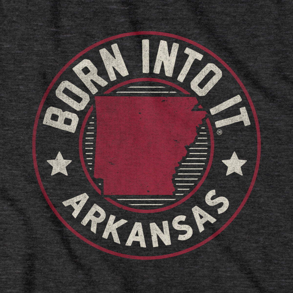 Born Into It Arkansas Game Day T-Shirt