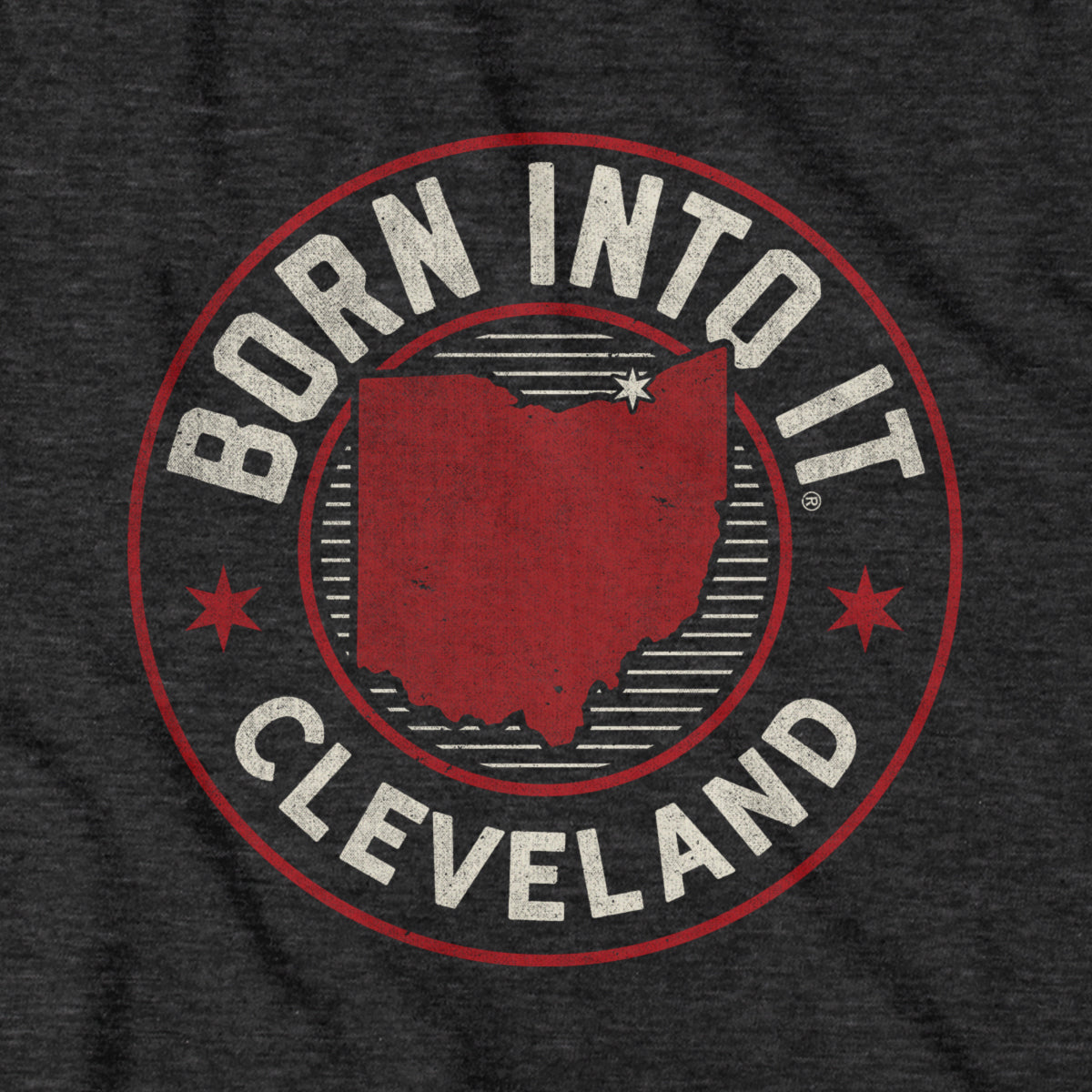 Born Into It Cleveland Game Day Hoodie