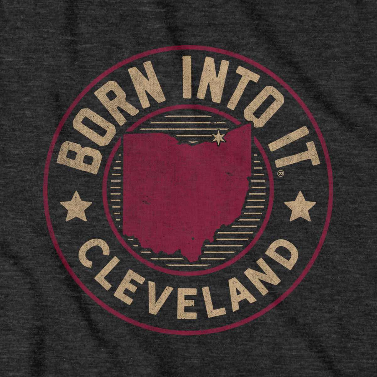 Born Into It Cleveland Golden Game Day Hoodie