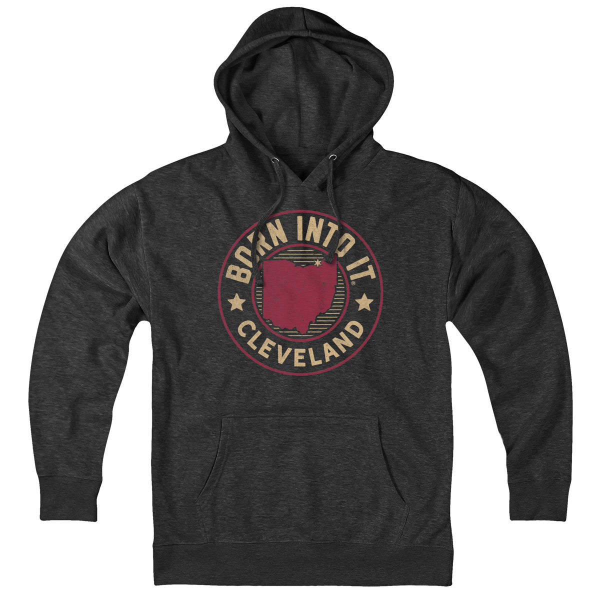 Born Into It Cleveland Golden Game Day Hoodie