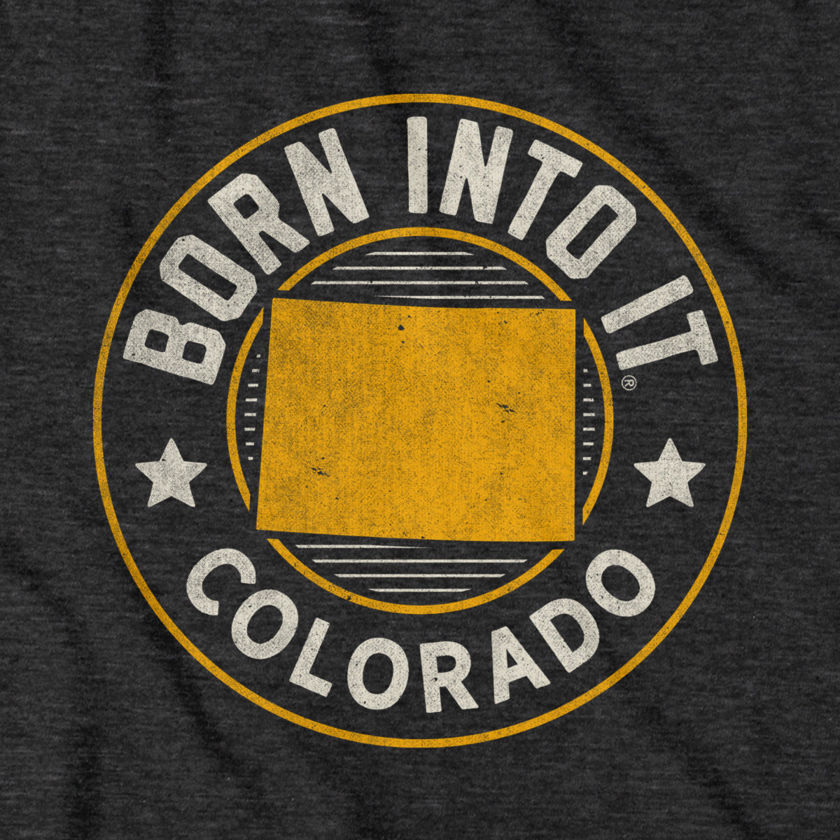 Born Into It Colorado Game Day T-Shirt