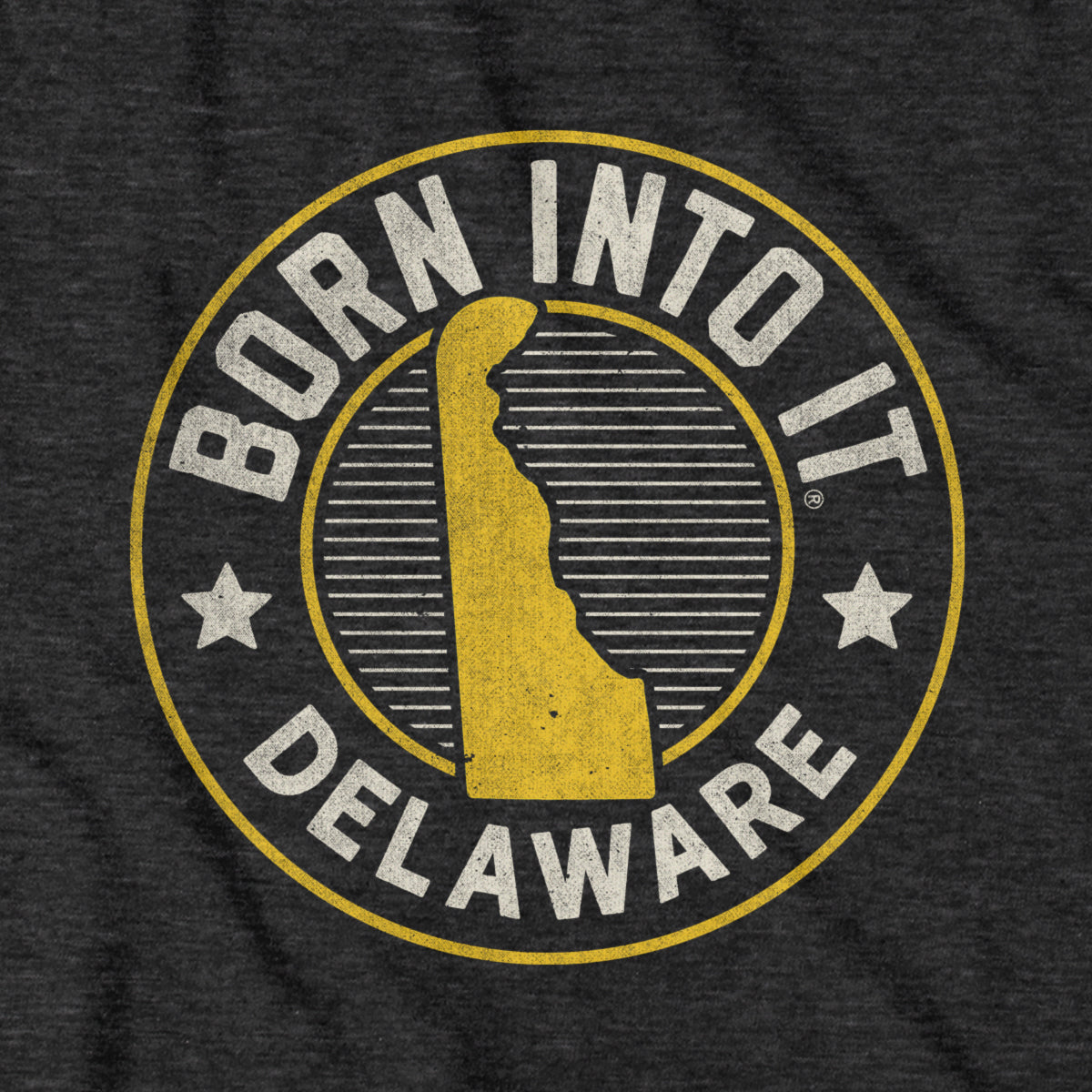 Born Into It Delaware Game Day T-Shirt