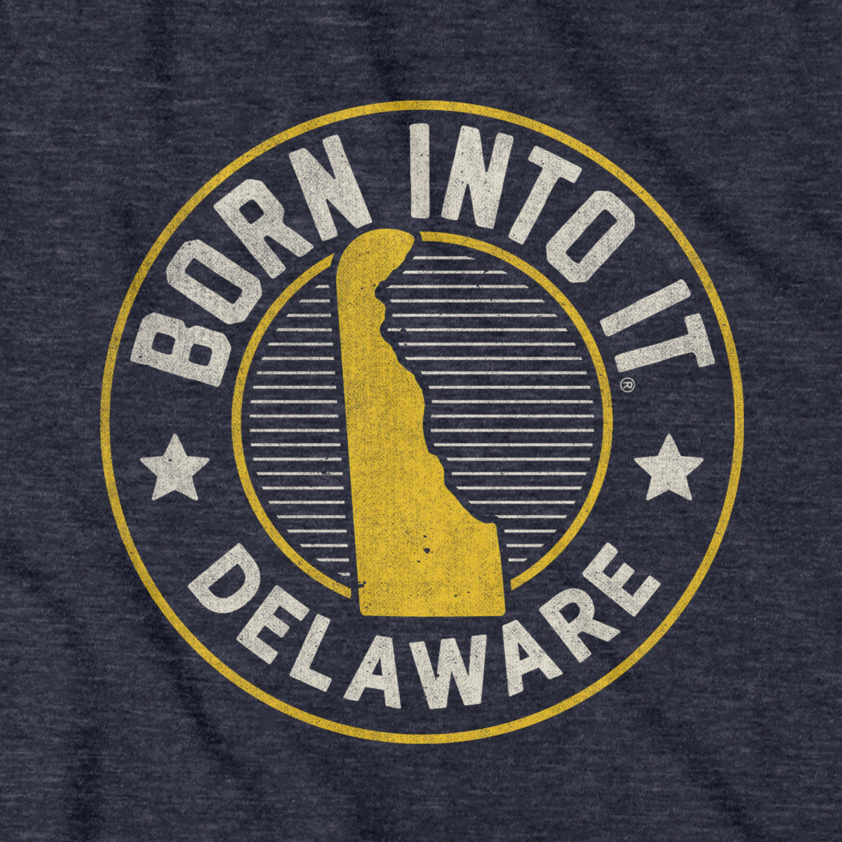 Born Into It Delaware Game Day T-Shirt