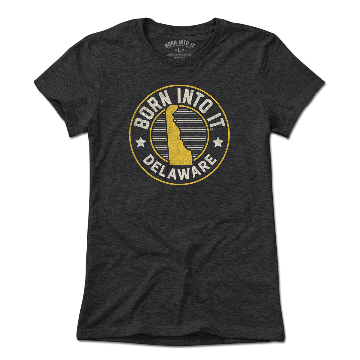 Born Into It Delaware Game Day T-Shirt