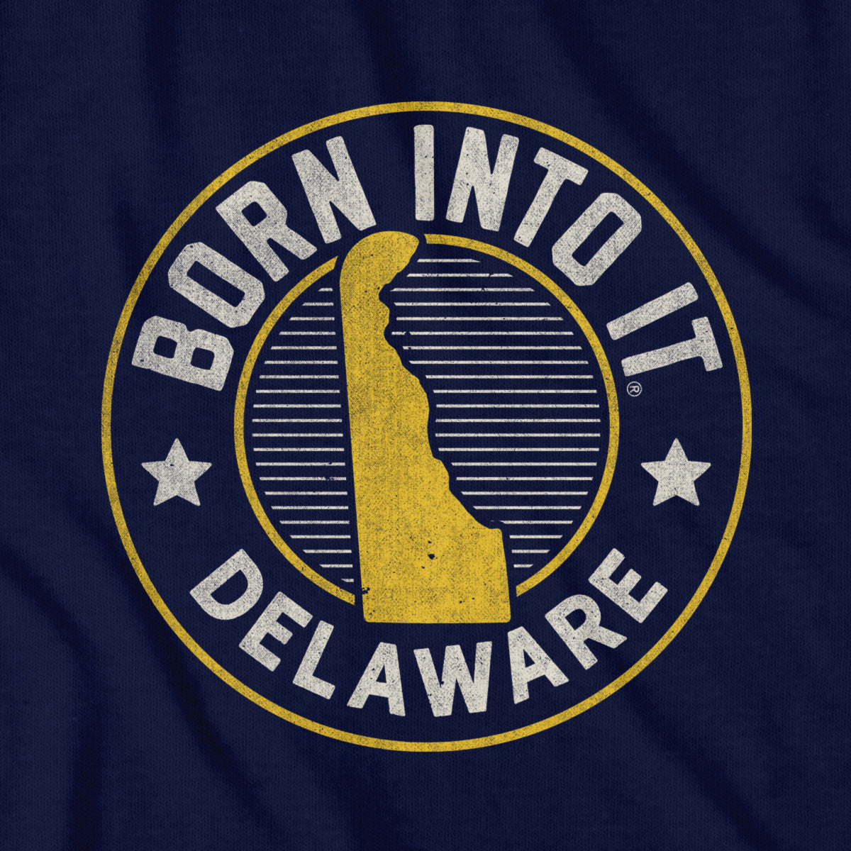 Born Into It Delaware Game Day T-Shirt