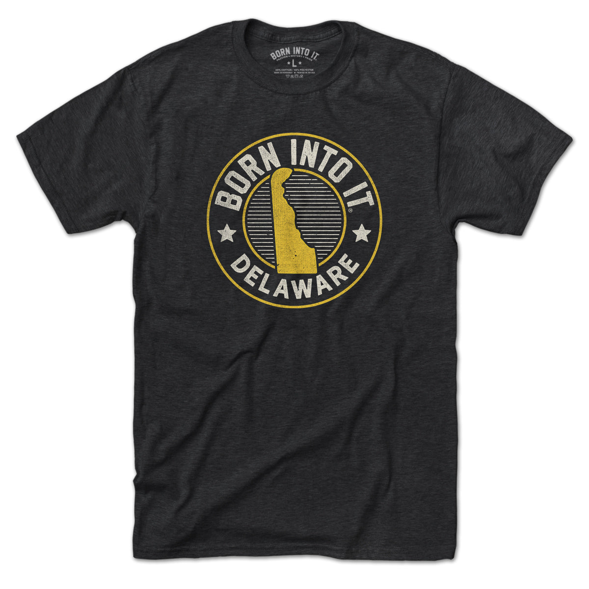 Born Into It Delaware Game Day T-Shirt