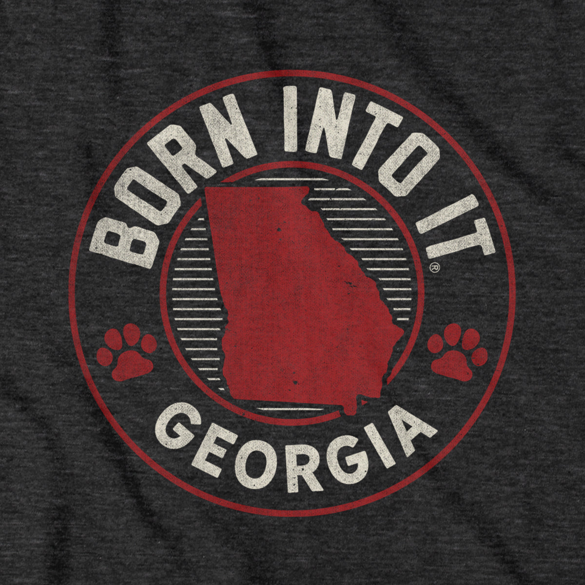 Born Into It Georgia Game Day T-Shirt