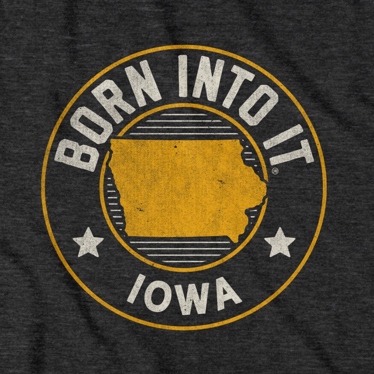 Born Into It Iowa Game Day T-Shirt