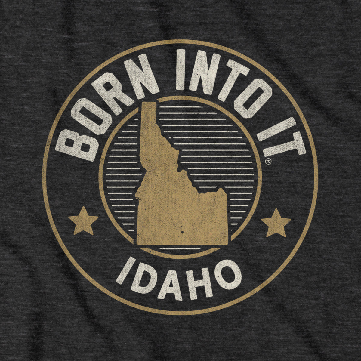 Born Into It Idaho Game Day T-Shirt