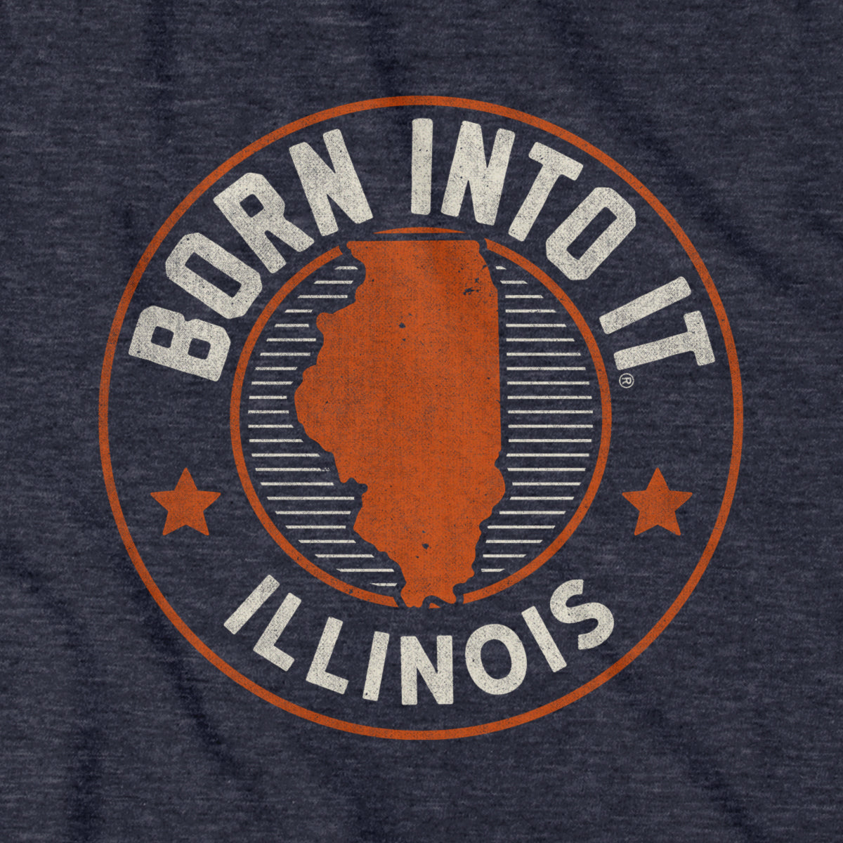 Born Into It Illinois Game Day T-Shirt