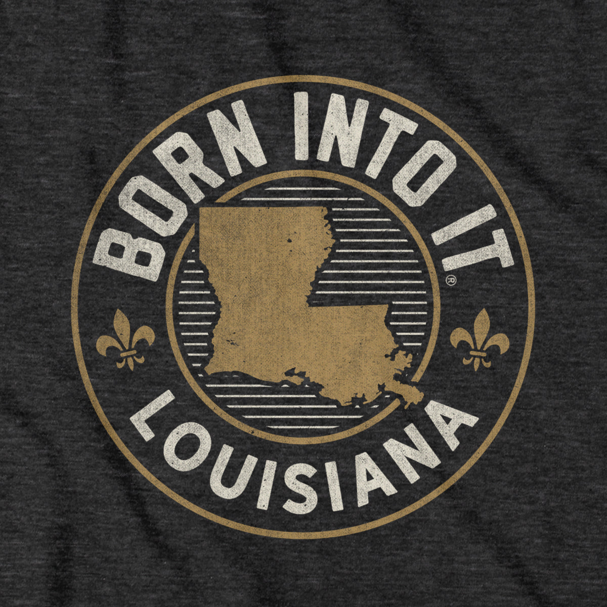 Born Into It Louisiana Game Day T-Shirt
