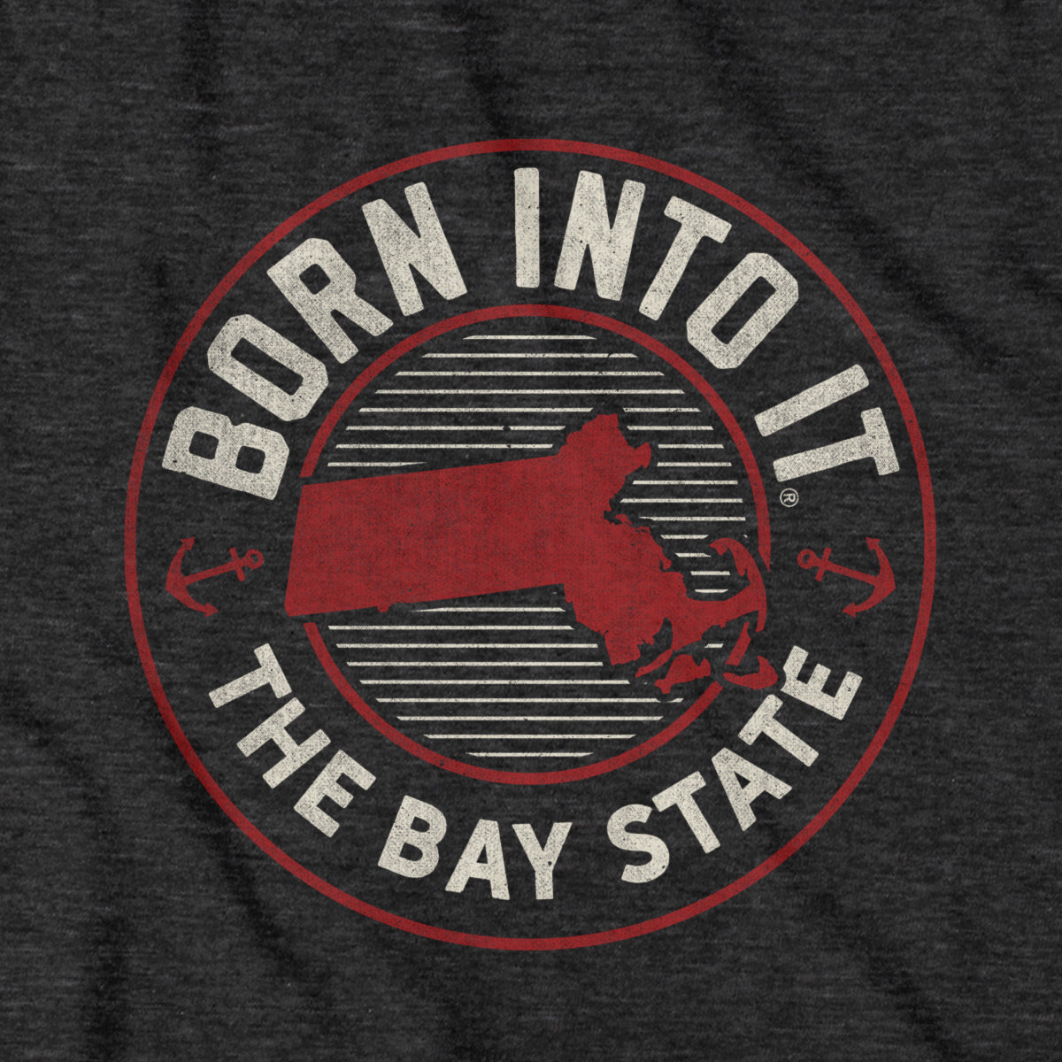 Born Into It Massachusetts Game Day T-Shirt