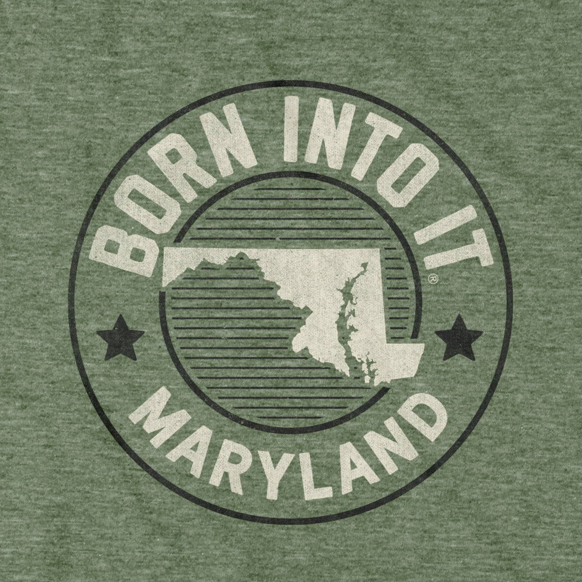 Born Into It Maryland Game Day T-Shirt
