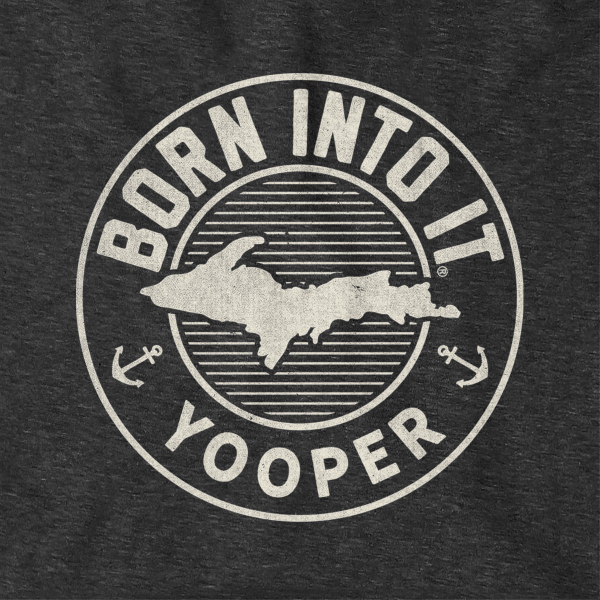Born Into It Yooper Game Day Hoodie