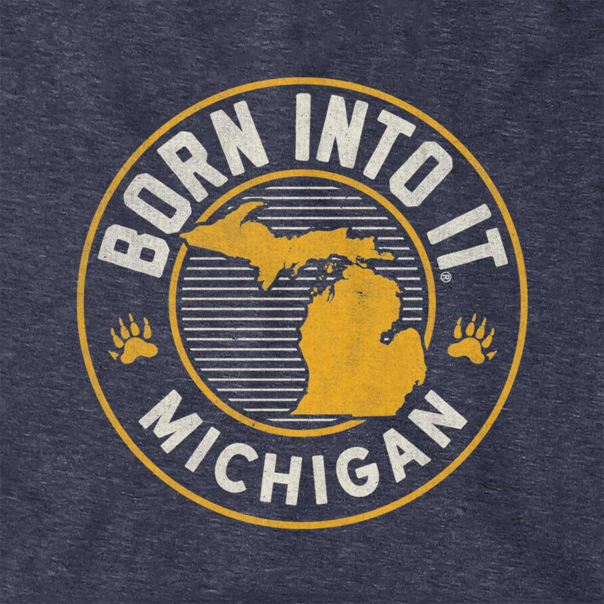 Born Into It Michigan Game Day Hoodie