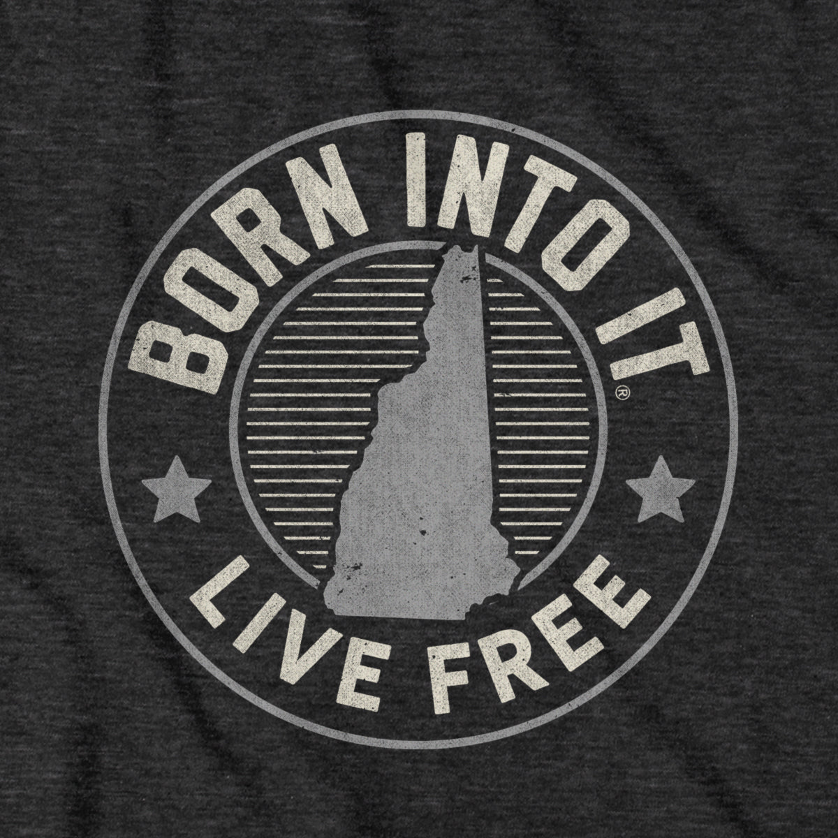 Born Into It New Hampshire Game Day T-Shirt
