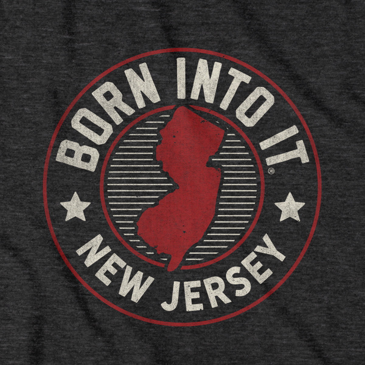 Born Into It New Jersey Game Day T-Shirt