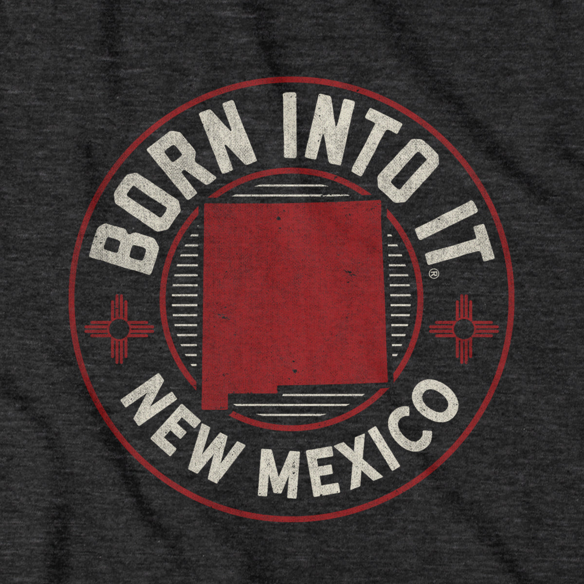 Born Into It New Mexico Game Day T-Shirt