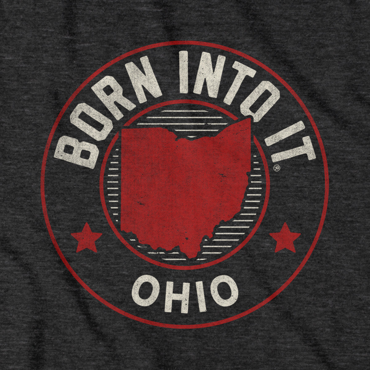 Ohio Born Into It Game Day Hoodie