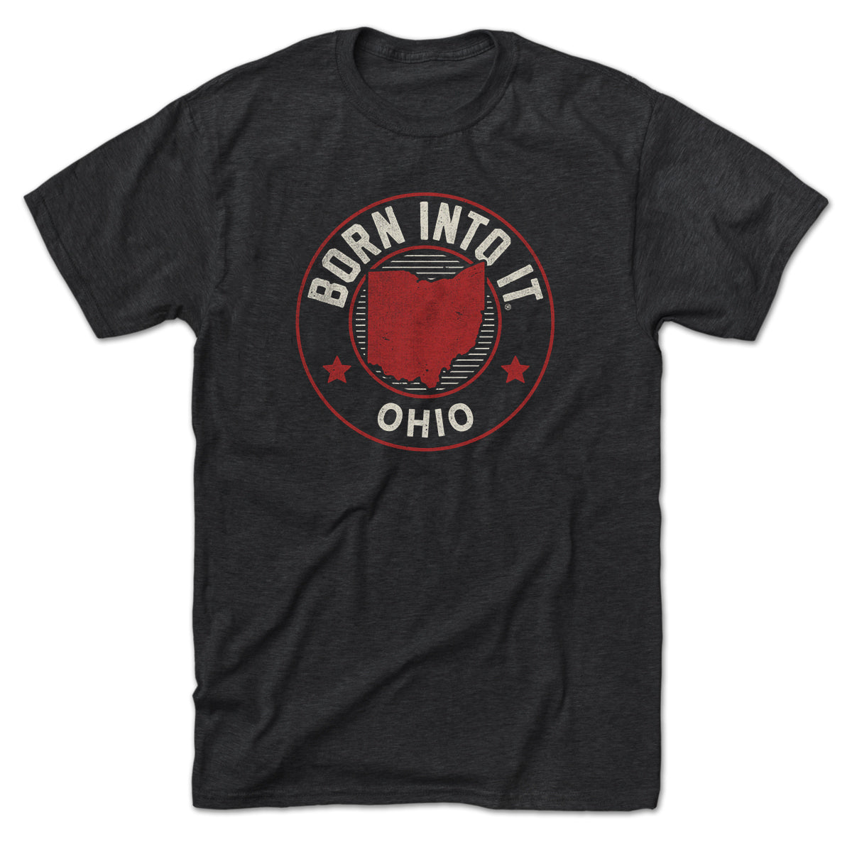 Ohio Born Into It Game Day T-shirt
