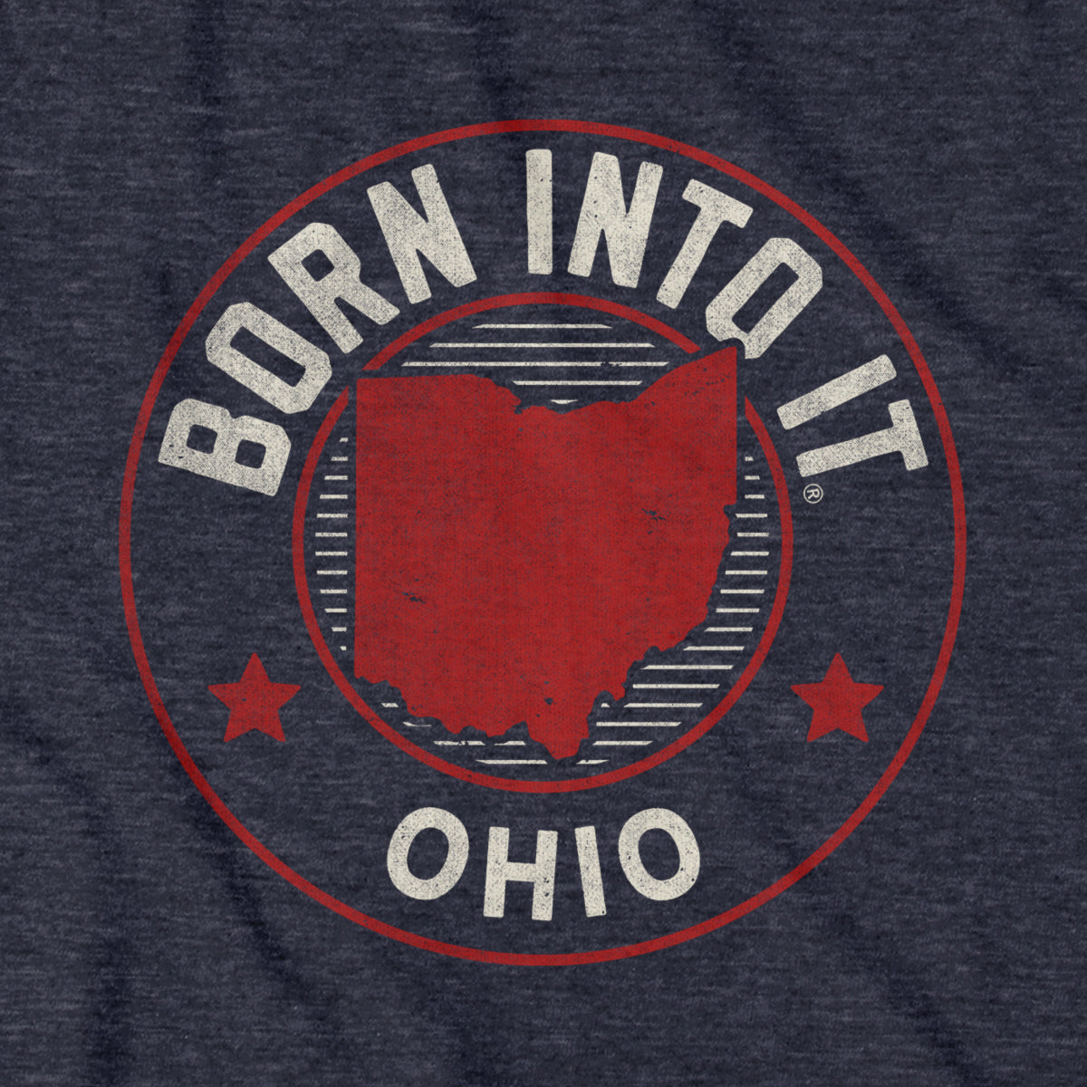 Ohio Born Into It Game Day Hoodie