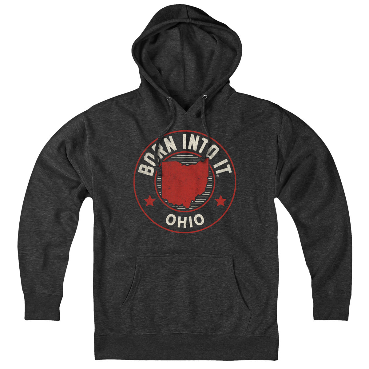 Ohio Born Into It Game Day Hoodie