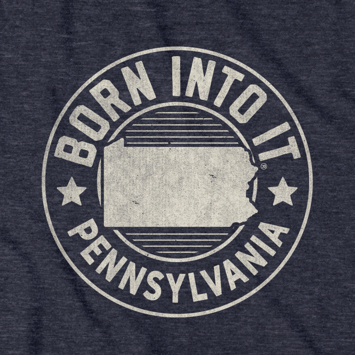 Born Into It Pennsylvania Game Day T-Shirt