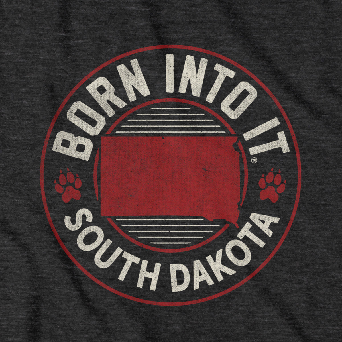 Born Into It South Dakota Game Day T-Shirt