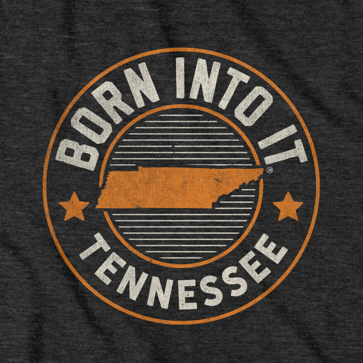 Born Into It Tennessee Game Day T-Shirt