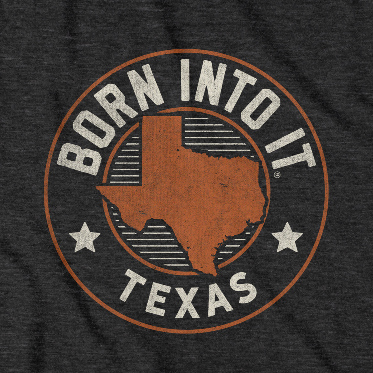 Born Into It Texas Game Day T-Shirt