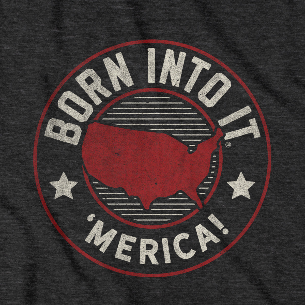 Born Into It USA Game Day T-Shirt