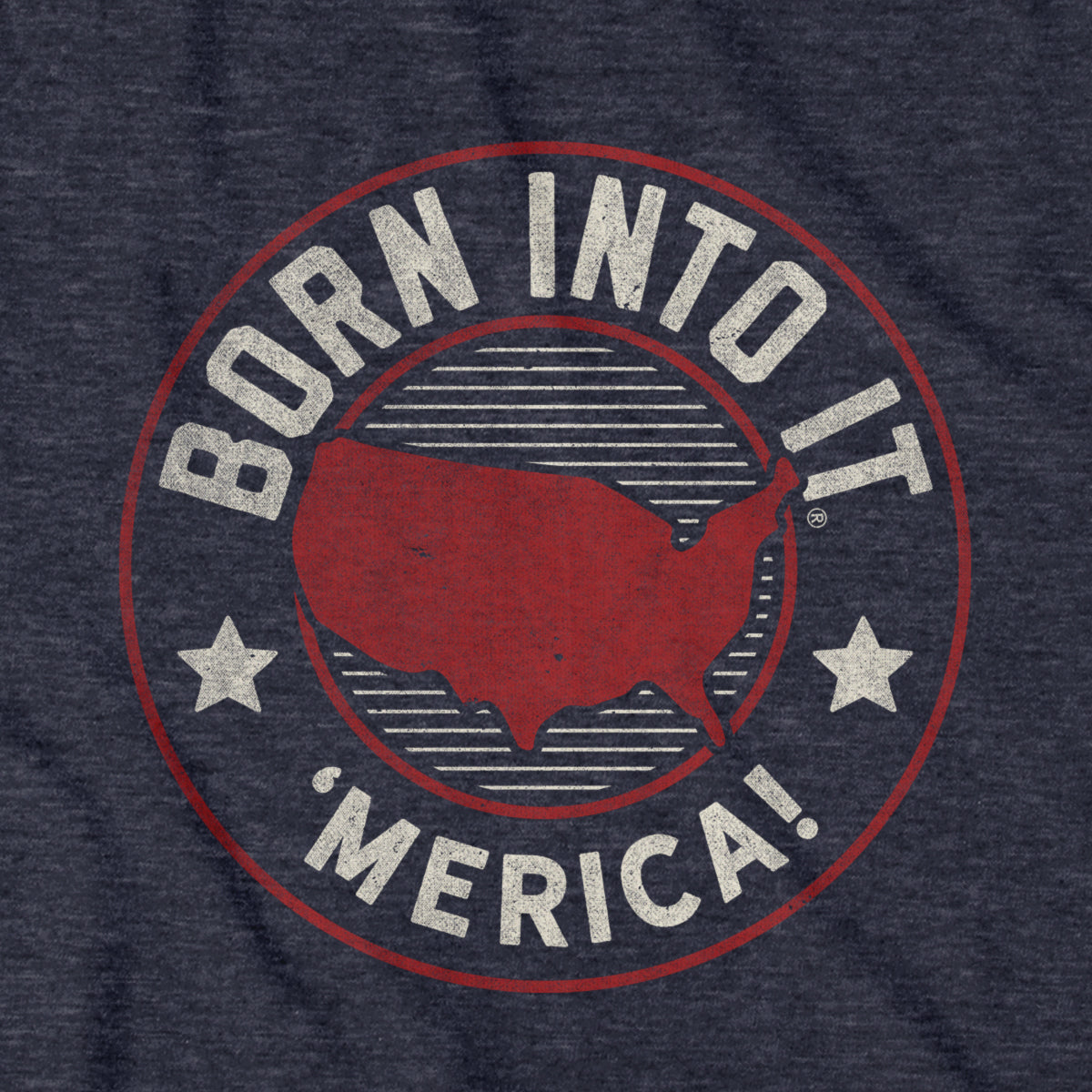 Born Into It USA Game Day T-Shirt