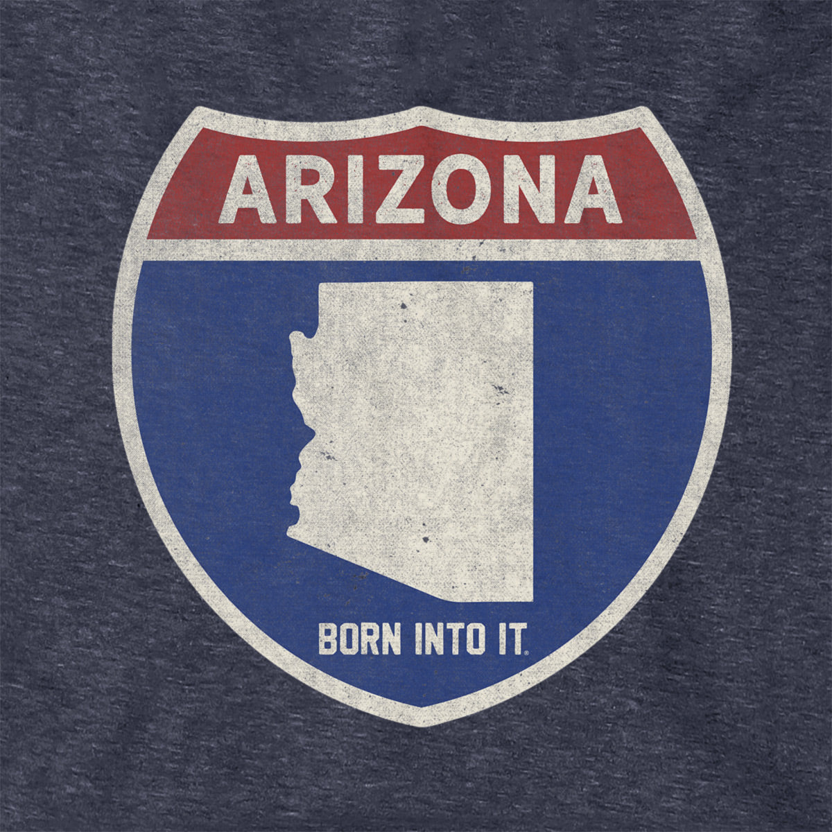 Born Into It Arizona Interstate Sign Hoodie, comfortable sweatshirt with Arizona highway graphic, casual streetwear style.