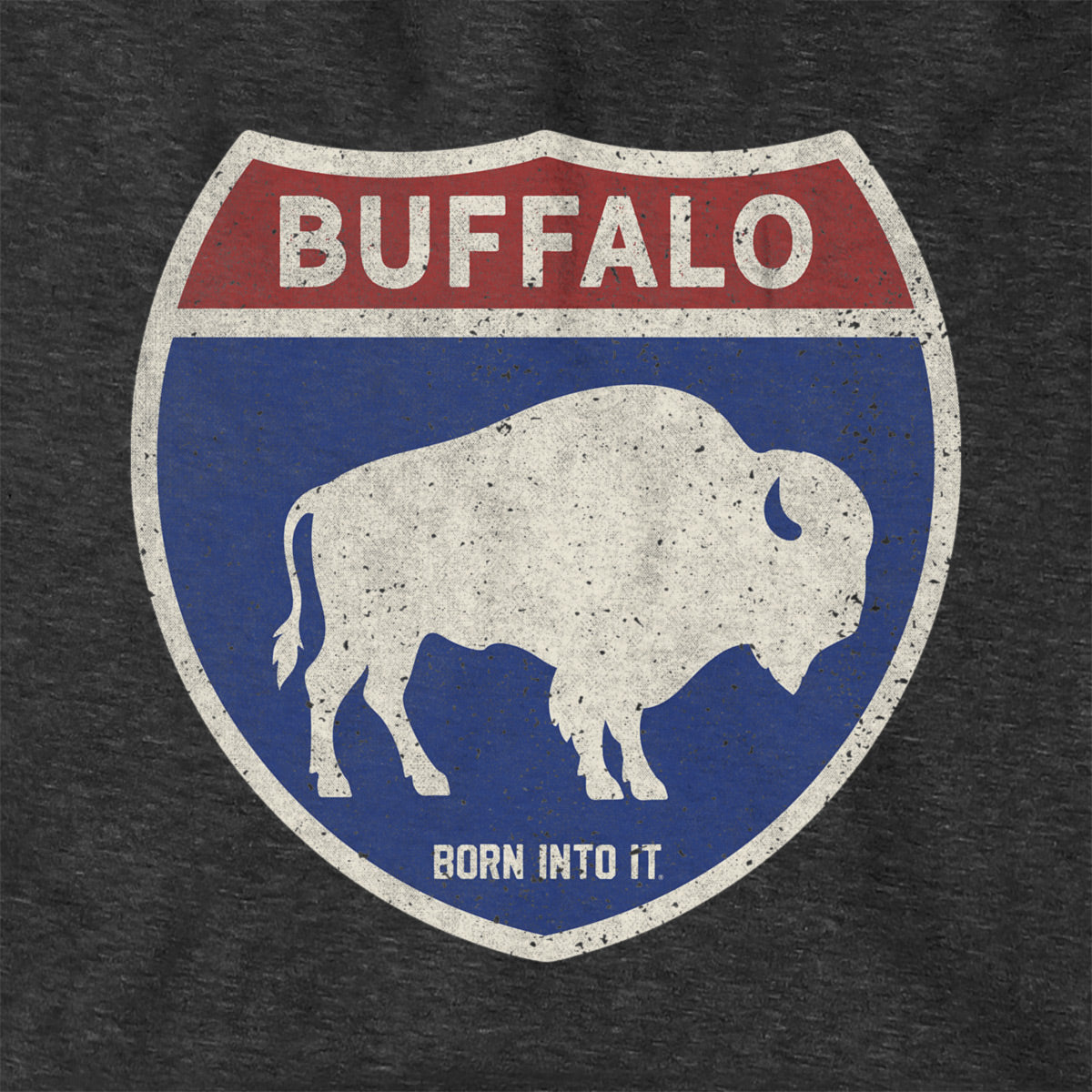 Born Into It Buffalo Interstate Sign hoodie, black sweatshirt with graphic print, casual streetwear style.