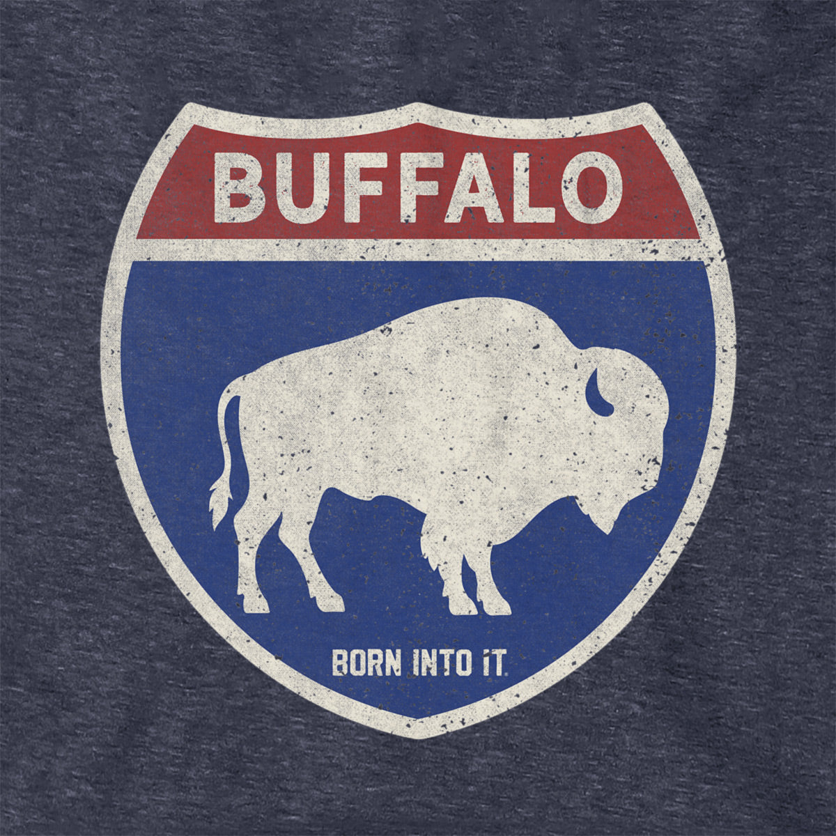 Born Into It Buffalo Interstate Sign hoodie sweatshirt with graphic print, casual and comfortable unisex apparel.