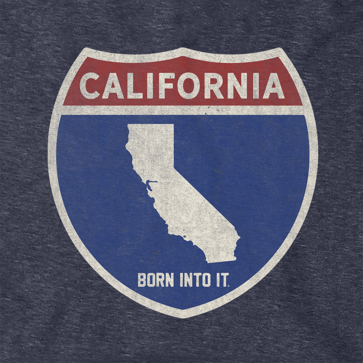 Born Into It California Interstate Sign hoodie, a comfortable sweatshirt with interstate highway graphic in a casual style.