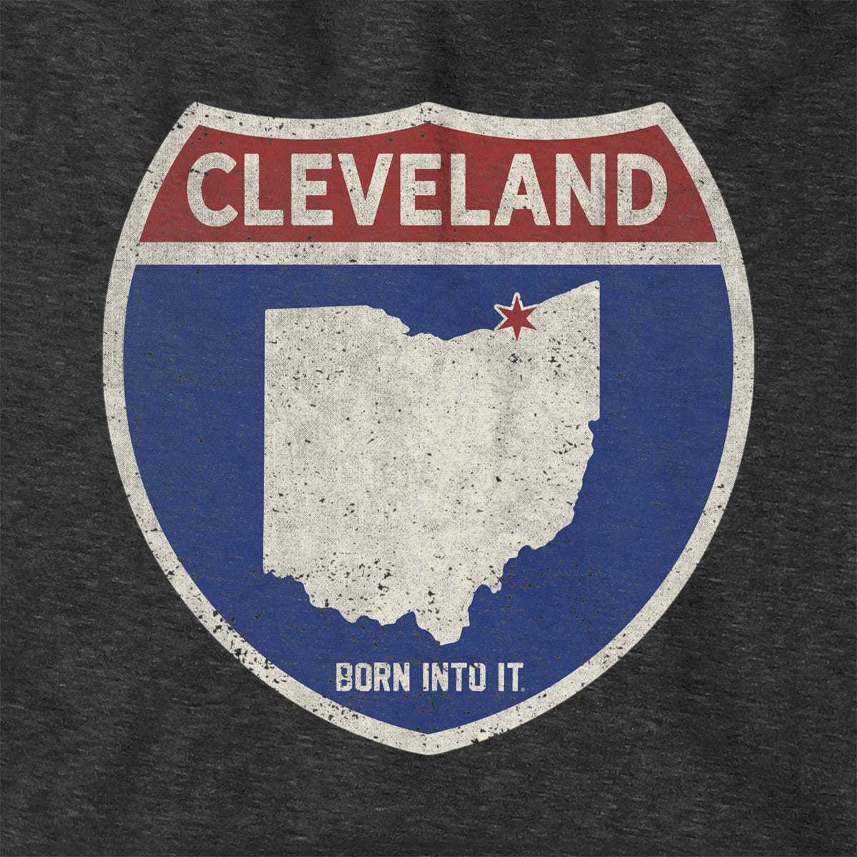 Born Into It Cleveland Interstate Sign hoodie, a stylish sweatshirt featuring a vintage interstate sign graphic.