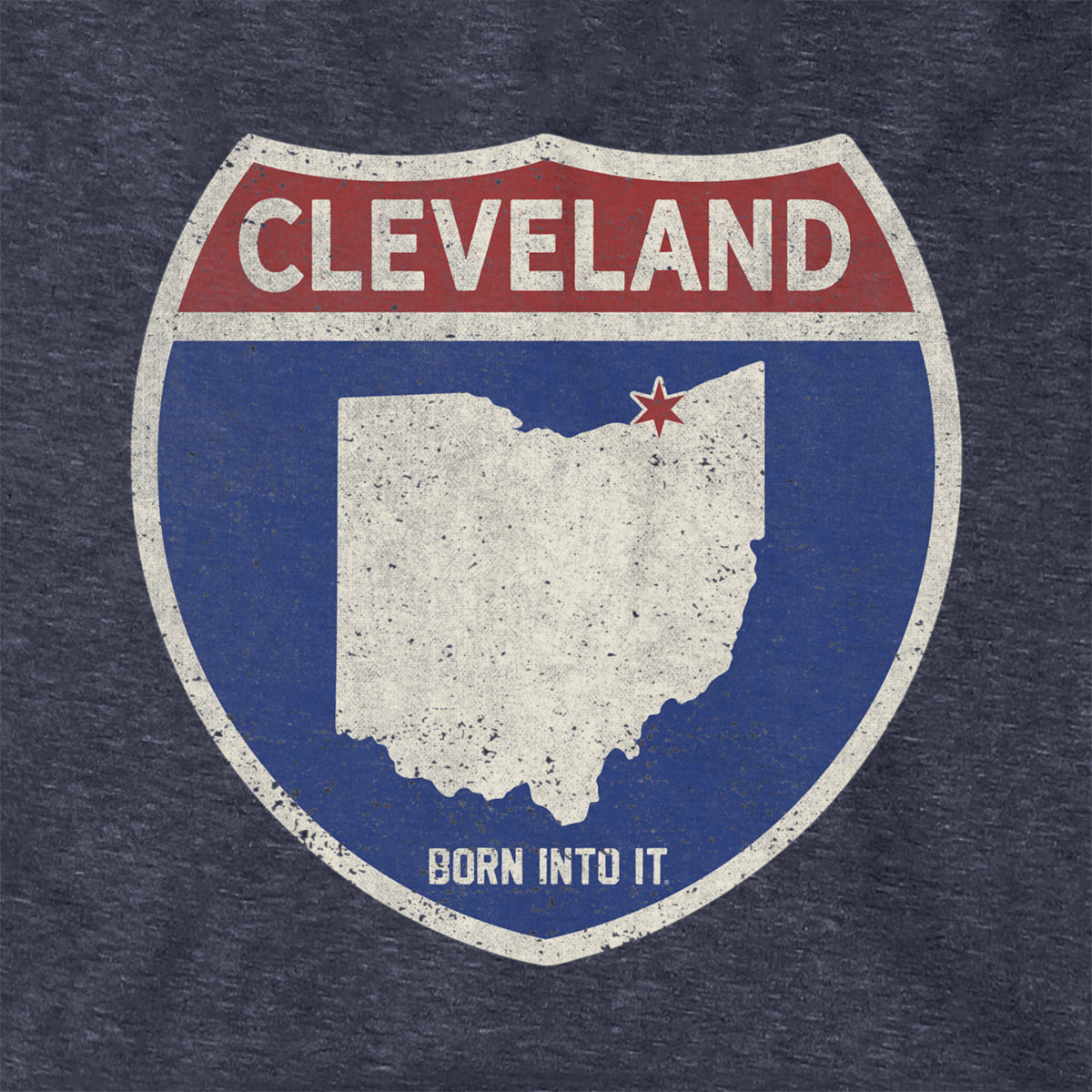 Born Into It Cleveland Interstate Sign hoodie sweatshirt featuring a graphic of the Cleveland interstate sign on soft fabric.