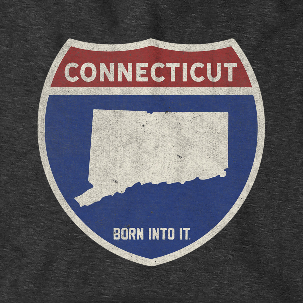 Born Into It Connecticut Interstate Sign hoodie, black sweatshirt with graphic of highway sign and city names.