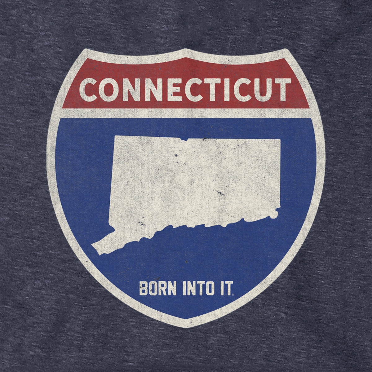 Born Into It Connecticut Interstate Sign Hoodie sweatshirt featuring a graphic of the Connecticut interstate route sign.