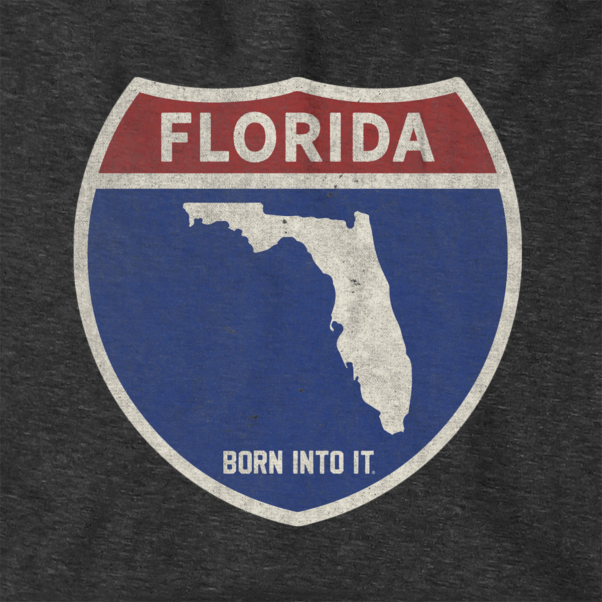 Born Into It Florida Interstate Sign hoodie, a comfortable sweatshirt with Florida highway graphic on the front.