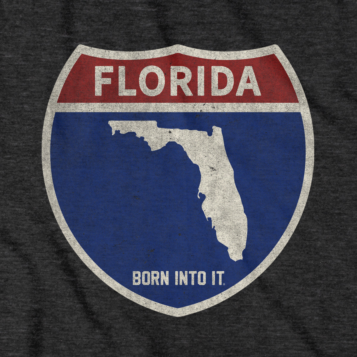 Born Into It Florida Interstate Sign T-Shirt featuring a graphic of a highway interstate sign on a casual t-shirt.