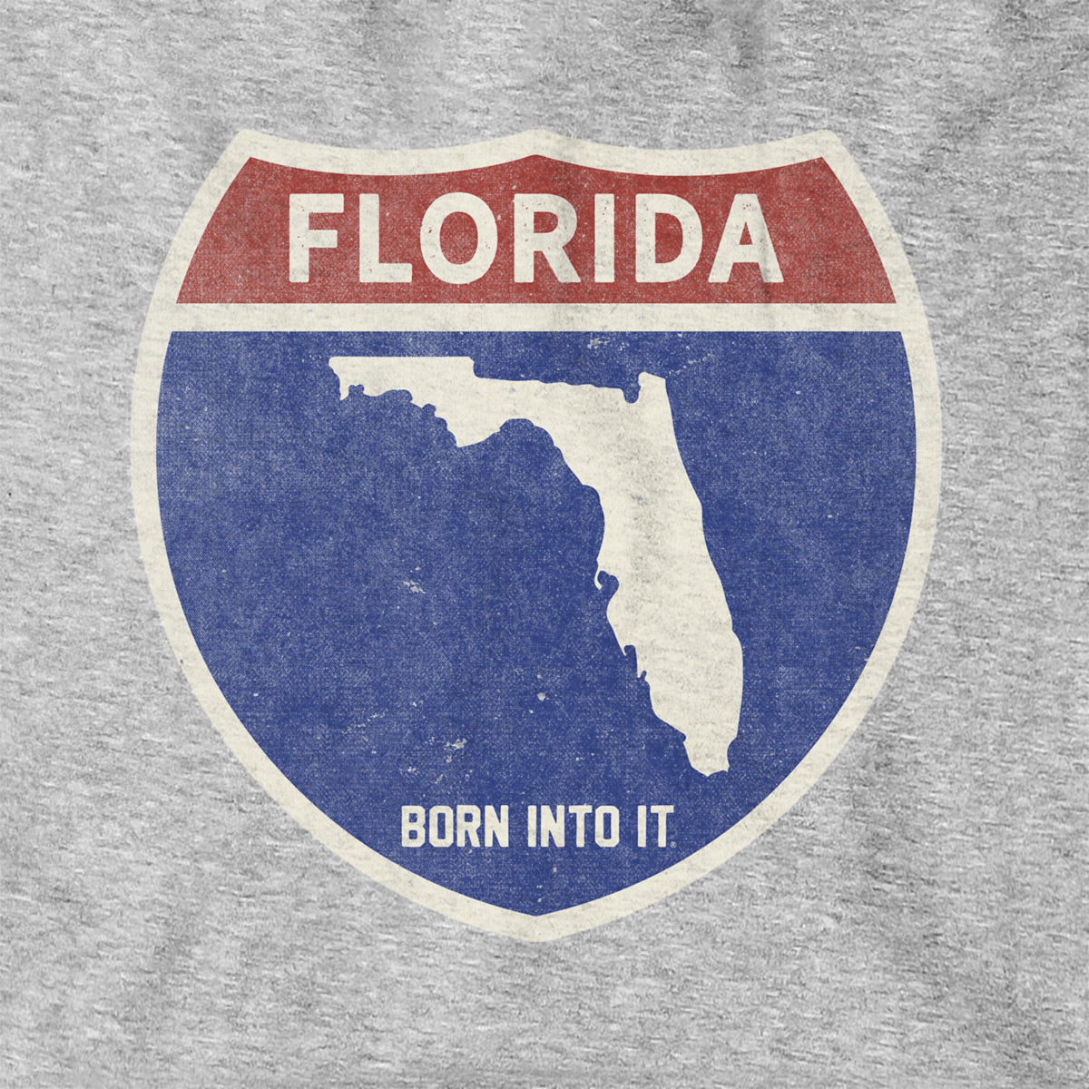 Born Into It Florida Interstate Sign hoodie, gray sweatshirt featuring a vibrant interstate graphic for a casual, stylish look.