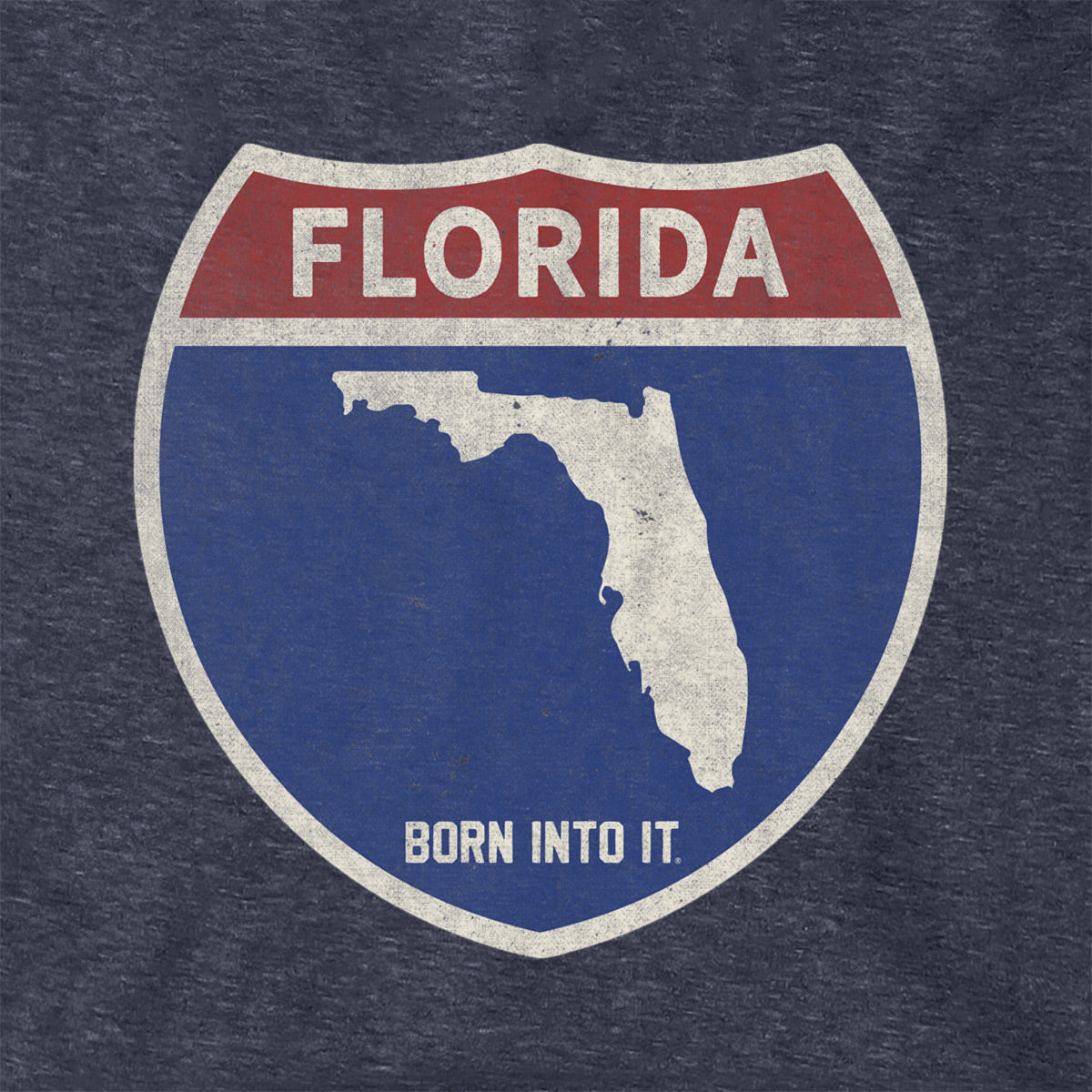 Born Into It Florida Interstate Sign hoodie sweatshirt featuring a bold interstate highway design on soft fabric.